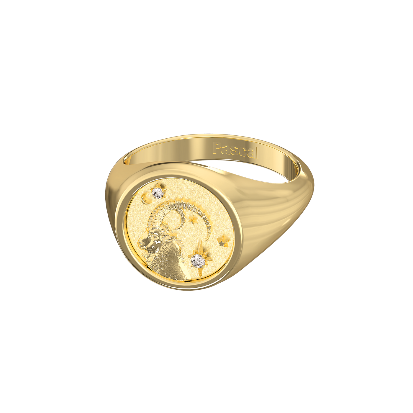 Capricorn Small Signet Ring