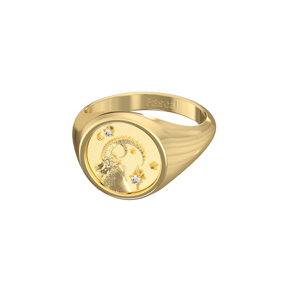 Capricorn Small Signet Ring