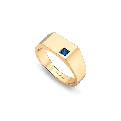 Geo Gemstone Signet Ring