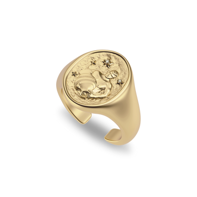 'Zodiac' Diamond Signet Ring, Aquarius