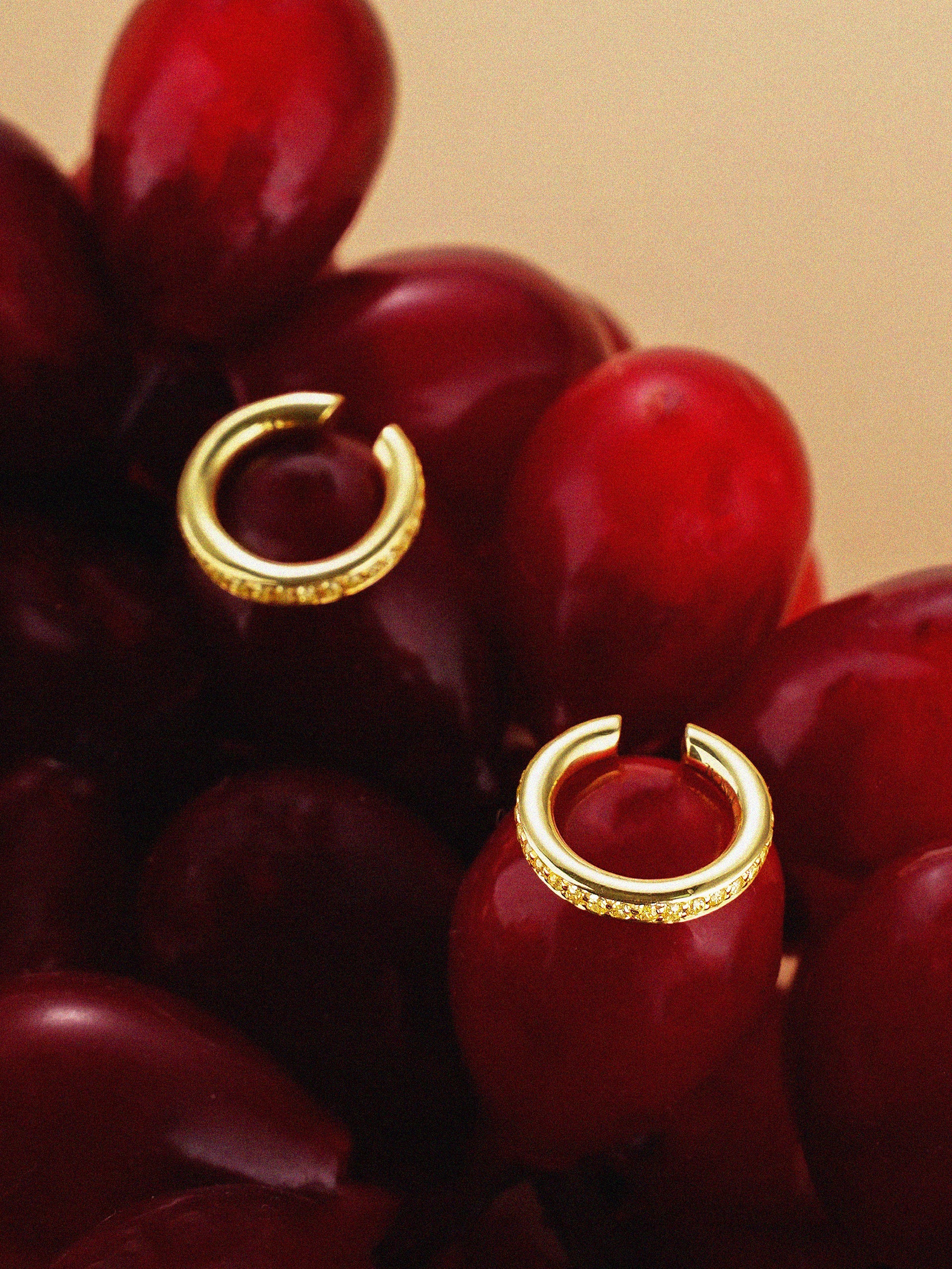 PASCAL | STORY - COLLECTION - CLASSIC