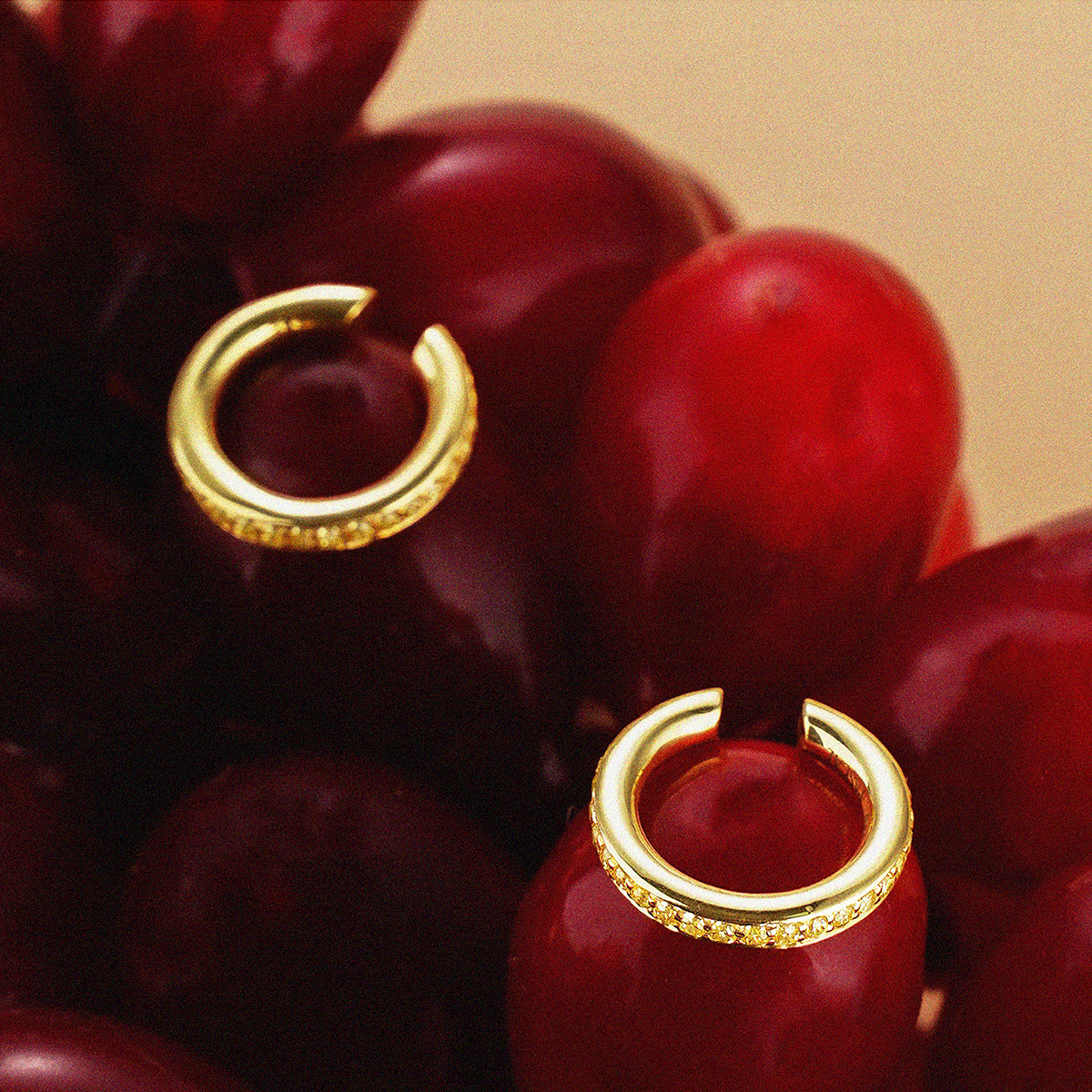 PASCAL Color Classic Collection | PASCAL