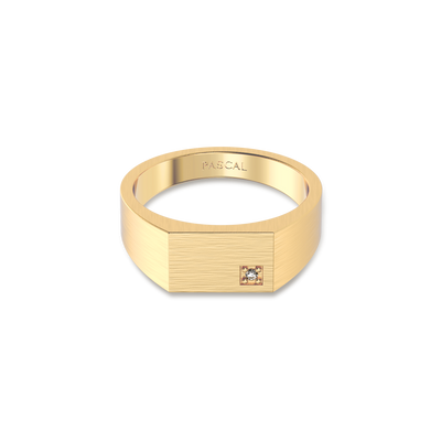 #color-finish_18k-yellow-gold-vermeil-brushed-finish