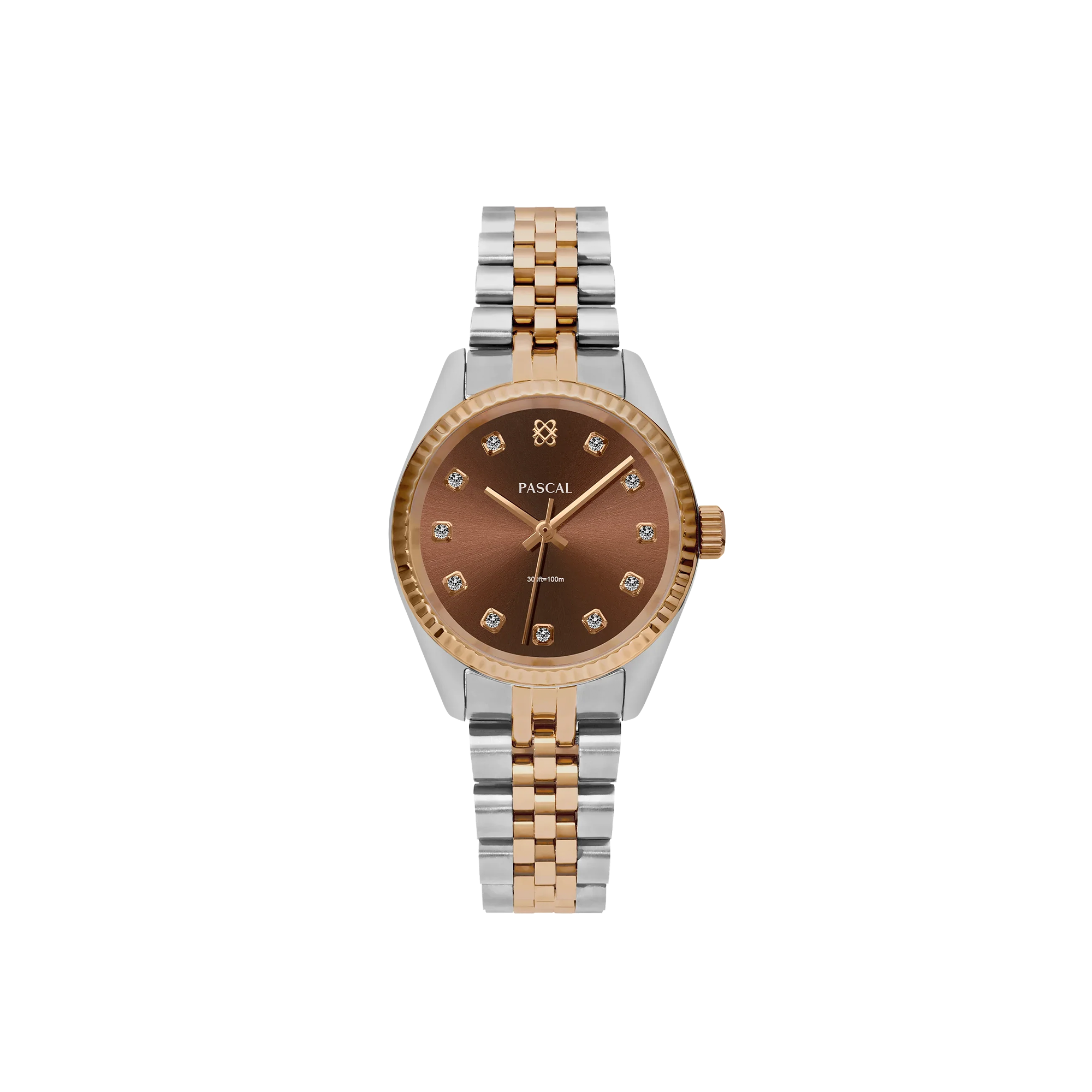 Timeless Classic Diamond Watch in Cocoa - PASCAL#dial-size_31-mm
