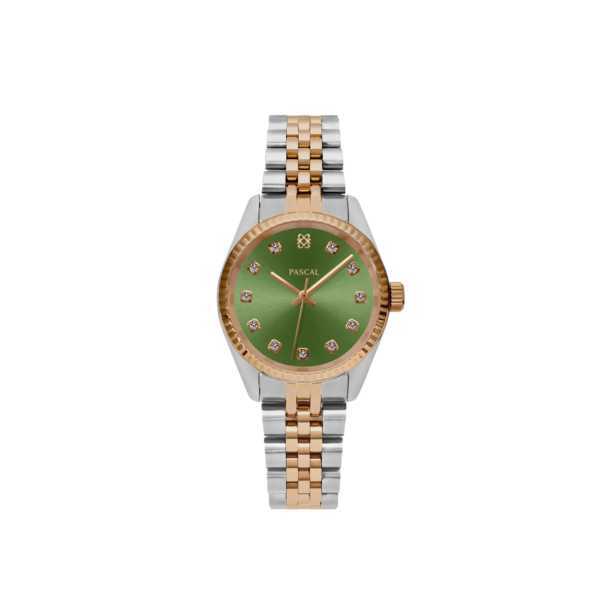 #dial-size_31-mm