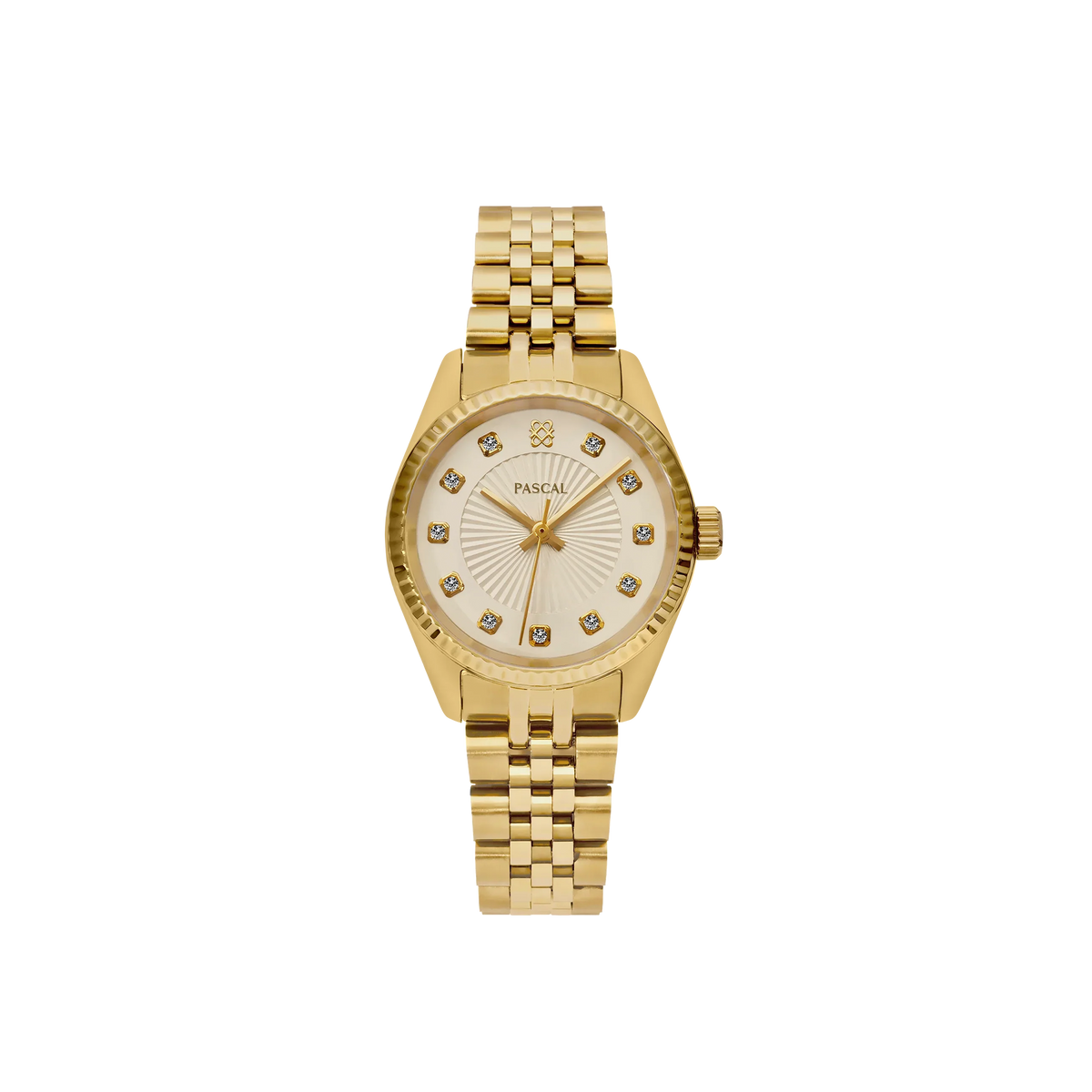 #dial-size_31-mm