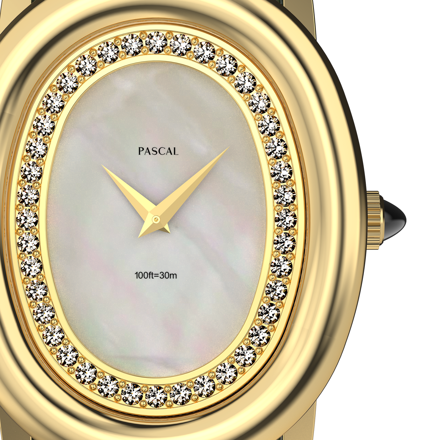 Oval Royale Diamond Watch (24mm x 30mm)