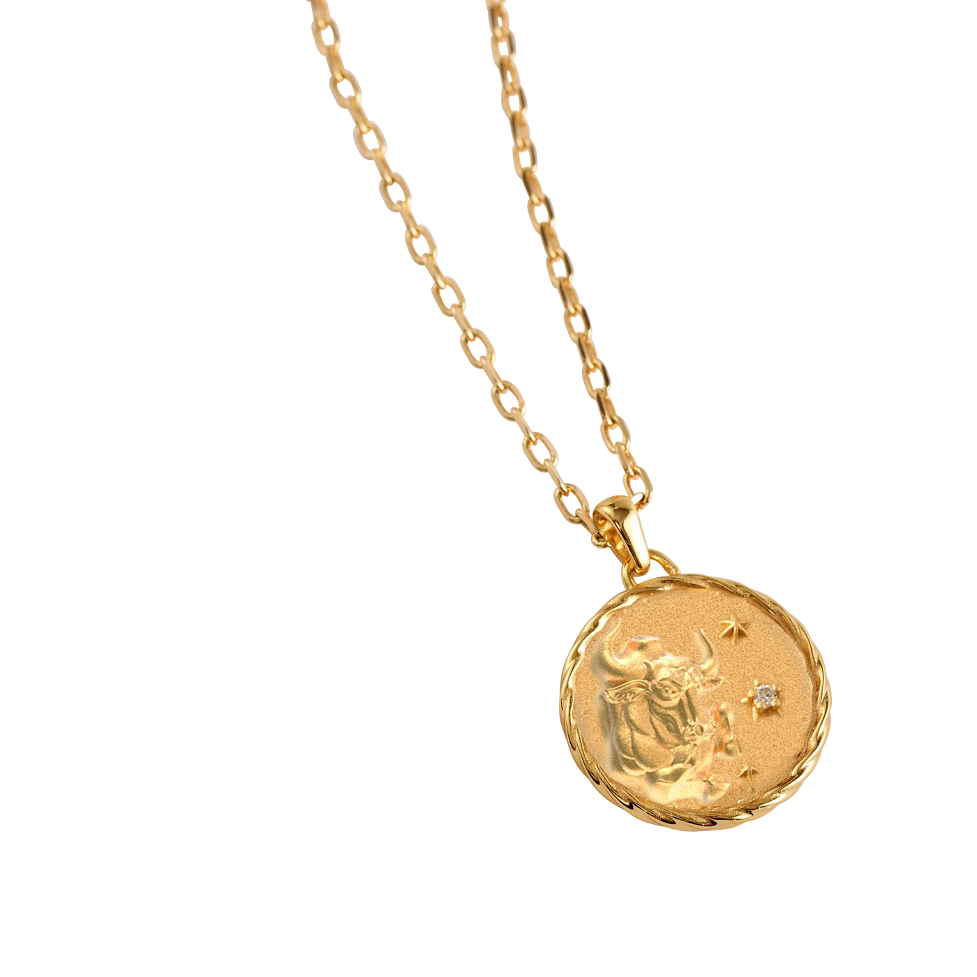 Zodiac Amulet Necklace