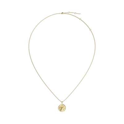 Zodiac Amulet Necklace