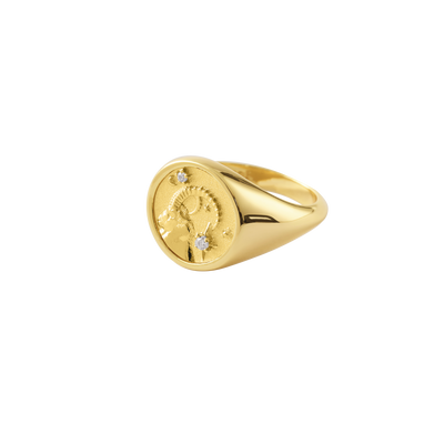 Anillo de sello de Capricornio